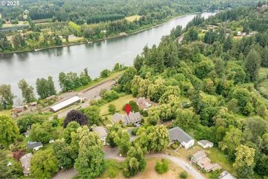 Gorgeous year-round territorial views of the Willamette River - photo 48