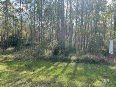 5.7 ACRES 450' OF INCREDIBLE EXPOSURE TO FOLEY BEACH EXPRESS! - photo 1