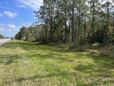5.7 ACRES 450' OF INCREDIBLE EXPOSURE TO FOLEY BEACH EXPRESS! - photo 2
