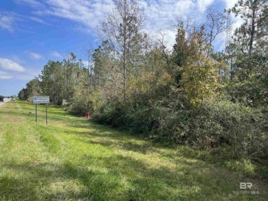 5.7 ACRES 450' OF INCREDIBLE EXPOSURE TO FOLEY BEACH EXPRESS! - photo 3