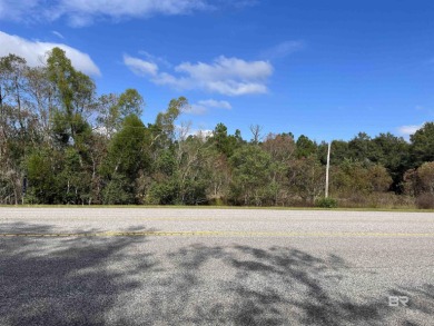 5.7 ACRES 450' OF INCREDIBLE EXPOSURE TO FOLEY BEACH EXPRESS! - photo 4