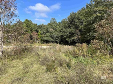 5.7 ACRES 450' OF INCREDIBLE EXPOSURE TO FOLEY BEACH EXPRESS! - photo 5
