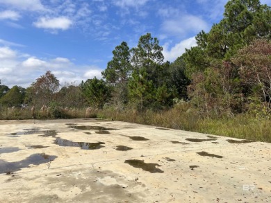 5.7 ACRES 450' OF INCREDIBLE EXPOSURE TO FOLEY BEACH EXPRESS! - photo 6