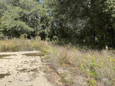 5.7 ACRES 450' OF INCREDIBLE EXPOSURE TO FOLEY BEACH EXPRESS! - photo 7