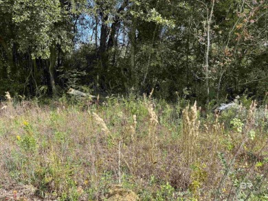 5.7 ACRES 450' OF INCREDIBLE EXPOSURE TO FOLEY BEACH EXPRESS! - photo 8