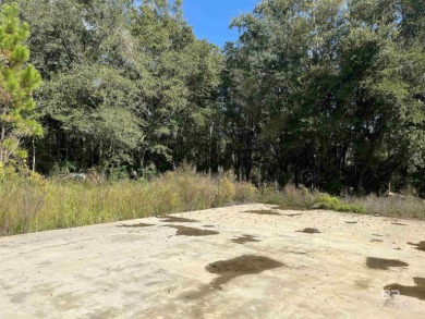 5.7 ACRES 450' OF INCREDIBLE EXPOSURE TO FOLEY BEACH EXPRESS! - photo 9