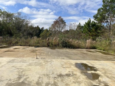 5.7 ACRES 450' OF INCREDIBLE EXPOSURE TO FOLEY BEACH EXPRESS! - photo 10