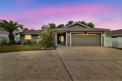 (private lake, pond, coastal) Home For Sale in Palm Harbor Florida