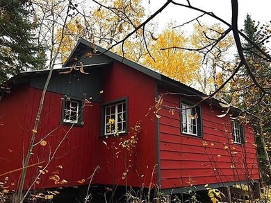 Seller will consider Contract for Deed. Black Bay Rainy Lake 1 - photo 19