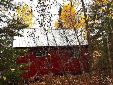 Seller will consider Contract for Deed. Black Bay Rainy Lake 1 - photo 20
