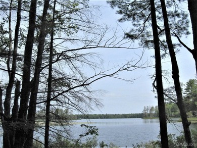 This 403-acre property located in both Alger and Schoolcraft - photo 22