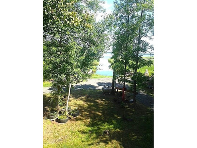 Seller will consider Contract for Deed. Black Bay Rainy Lake 1 - photo 28