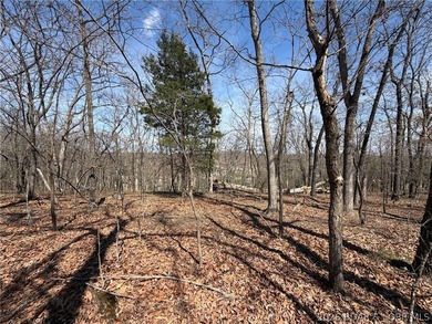 Build your dream home in the highly sought-after...The Villages - photo 3