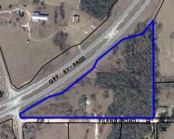 (private lake, pond, creek) Lot For Sale in Opp Alabama