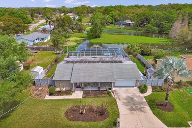 (private lake, pond, coastal) Home For Sale in Brandon Florida