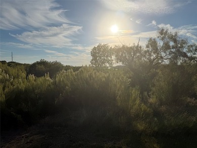 Large lot with a view of the north end of Possum Kingdom Lake - photo 4