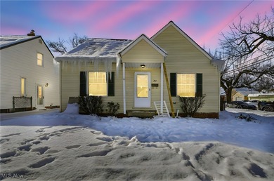 Lake Erie - Lake County Home For Sale in Willowick Ohio