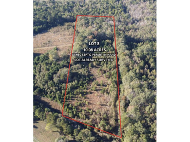 Lake Acreage For Sale in Saint Stephen, South Carolina