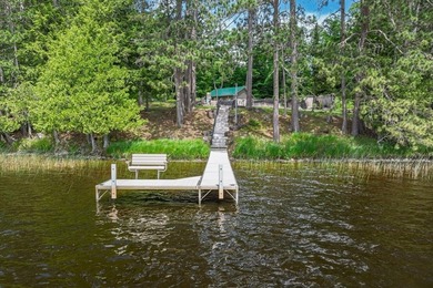 Your Private Oasis on the Palmer/Tenderfoot Chain. Discover the - photo 11