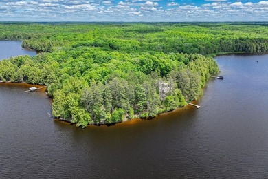 Your Private Oasis on the Palmer/Tenderfoot Chain. Discover the - photo 13