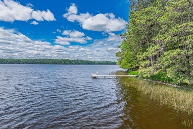 Your Private Oasis on the Palmer/Tenderfoot Chain. Discover the - photo 15