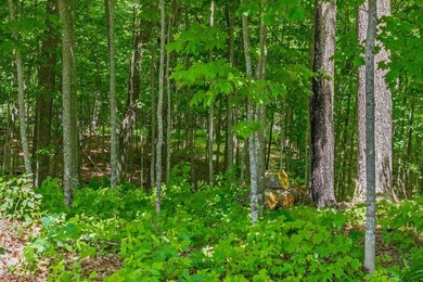 Your Private Oasis on the Palmer/Tenderfoot Chain. Discover the - photo 28
