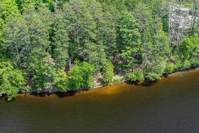 Your Private Oasis on the Palmer/Tenderfoot Chain. Discover the - photo 29