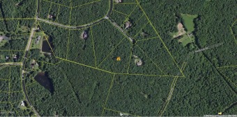 Over 4 1/2 Acre Building Lot in Tink Wig! Convenient to Town & - Lake Acreage Sale Pending in Hawley, Pennsylvania