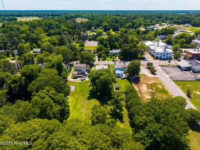 Welcome to one of Windsor's most beloved homes--a stunning 1922 - photo 41