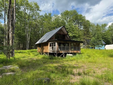 Hunter Lake - Parksville Home Sale Pending in Parksville New York