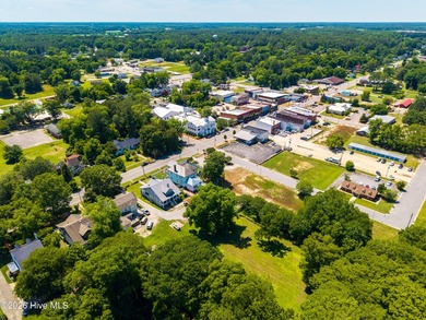 Welcome to one of Windsor's most beloved homes--a stunning 1922 - photo 42