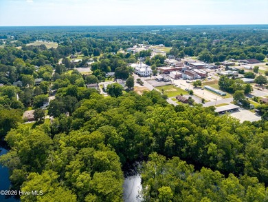 Welcome to one of Windsor's most beloved homes--a stunning 1922 - photo 44