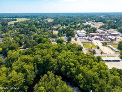 Welcome to one of Windsor's most beloved homes--a stunning 1922 - photo 45