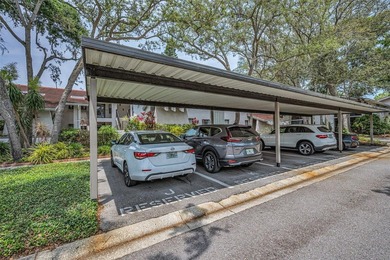 Fully Furnished and Turn Key Ready! Live the Florida Dream in - photo 5