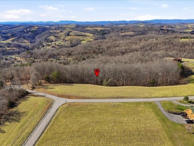 Norris Lake View Lot for Sale in Rock Harbor SOLD - photo 15