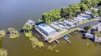 Lake Home For Sale in Tavares, Florida