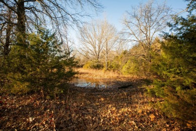 Lake Acreage For Sale in Stockton, Missouri