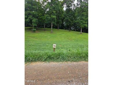 (private lake, pond, creek) Lot For Sale in Butler Tennessee
