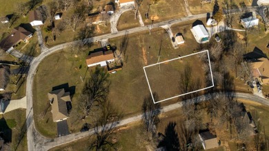 Lake Lot For Sale in Stockton, Missouri