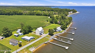 Spectacular Neuse River Waterfront Home with Elevator, Private - photo 2