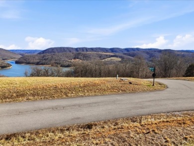 Norris Lake View Lot for Sale in Rock Harbor SOLD - photo 4