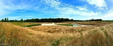 (private lake, pond, creek) Acreage For Sale in Kingsville Ohio