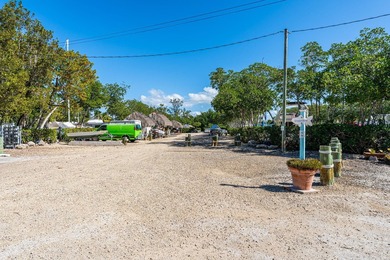 Manatee Bay Club Marina - Rare Investment Opportunity in the - photo 21