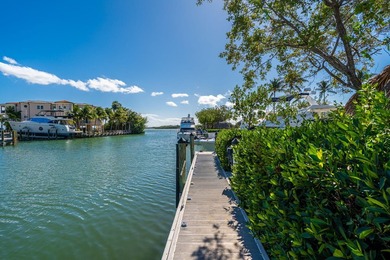 Manatee Bay Club Marina - Rare Investment Opportunity in the - photo 42