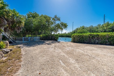 Manatee Bay Club Marina - Rare Investment Opportunity in the - photo 47