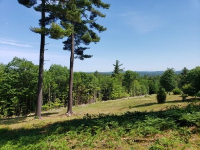 McWain Pond Acreage For Sale in Waterford Maine
