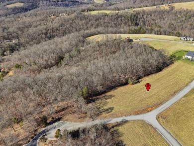 Norris Lake View Lot for Sale in Rock Harbor SOLD - photo 21