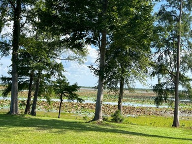 175 Eds Rd - photo 5