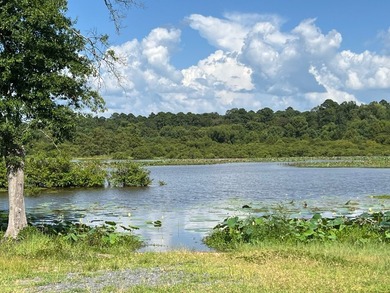 175 Eds Rd - photo 8