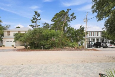 An exceptional opportunity awaits in the heart of Seagrove Beach - photo 3